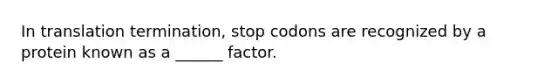 In translation termination, stop codons are recognized by a protein known as a ______ factor.