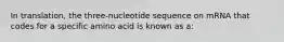 In translation, the three-nucleotide sequence on mRNA that codes for a specific amino acid is known as a: