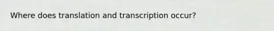 Where does translation and transcription occur?