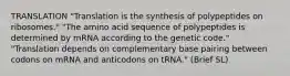 TRANSLATION "Translation is the synthesis of polypeptides on ribosomes." "The amino acid sequence of polypeptides is determined by mRNA according to the genetic code." "Translation depends on complementary base pairing between codons on mRNA and anticodons on tRNA." (Brief SL)