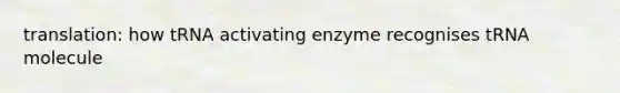 translation: how tRNA activating enzyme recognises tRNA molecule