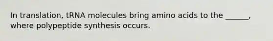 In translation, tRNA molecules bring amino acids to the ______, where polypeptide synthesis occurs.