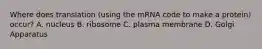 Where does translation (using the mRNA code to make a protein) occur? A. nucleus B. ribosome C. plasma membrane D. Golgi Apparatus