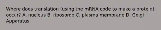 Where does translation (using the mRNA code to make a protein) occur? A. nucleus B. ribosome C. plasma membrane D. Golgi Apparatus