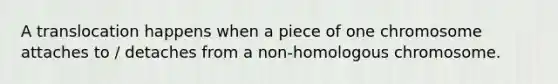 A translocation happens when a piece of one chromosome attaches to / detaches from a non-homologous chromosome.