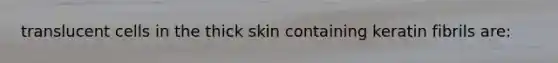 translucent cells in the thick skin containing keratin fibrils are: