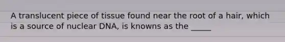 A translucent piece of tissue found near the root of a hair, which is a source of nuclear DNA, is knowns as the _____