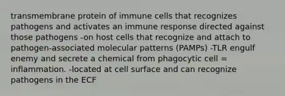 transmembrane protein of immune cells that recognizes pathogens and activates an immune response directed against those pathogens -on host cells that recognize and attach to pathogen-associated molecular patterns (PAMPs) -TLR engulf enemy and secrete a chemical from phagocytic cell = inflammation. -located at cell surface and can recognize pathogens in the ECF