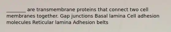 ________ are transmembrane proteins that connect two cell membranes together. Gap junctions Basal lamina Cell adhesion molecules Reticular lamina Adhesion belts