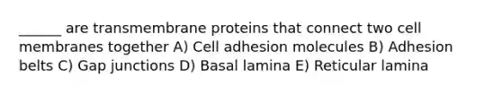 ______ are transmembrane proteins that connect two cell membranes together A) Cell adhesion molecules B) Adhesion belts C) Gap junctions D) Basal lamina E) Reticular lamina