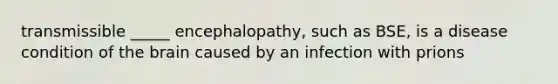 transmissible _____ encephalopathy, such as BSE, is a disease condition of the brain caused by an infection with prions