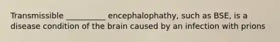 Transmissible __________ encephalophathy, such as BSE, is a disease condition of the brain caused by an infection with prions