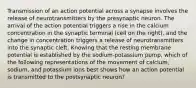 Transmission of an action potential across a synapse involves the release of neurotransmitters by the presynaptic neuron. The arrival of the action potential triggers a rise in the calcium concentration in the synaptic terminal (cell on the right), and the change in concentration triggers a release of neurotransmitters into the synaptic cleft. Knowing that the resting membrane potential is established by the sodium-potassium pump, which of the following representations of the movement of calcium, sodium, and potassium ions best shows how an action potential is transmitted to the postsynaptic neuron?