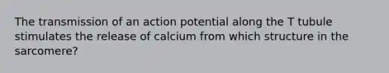 The transmission of an action potential along the T tubule stimulates the release of calcium from which structure in the sarcomere?