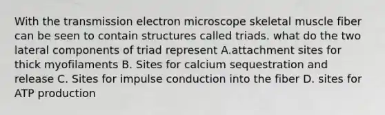 With the transmission electron microscope skeletal muscle fiber can be seen to contain structures called triads. what do the two lateral components of triad represent A.attachment sites for thick myofilaments B. Sites for calcium sequestration and release C. Sites for impulse conduction into the fiber D. sites for ATP production