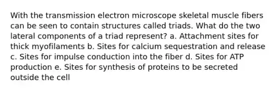 With the transmission electron microscope skeletal muscle fibers can be seen to contain structures called triads. What do the two lateral components of a triad represent? a. Attachment sites for thick myofilaments b. Sites for calcium sequestration and release c. Sites for impulse conduction into the fiber d. Sites for ATP production e. Sites for synthesis of proteins to be secreted outside the cell