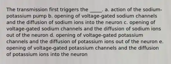 The transmission first triggers the _____. a. action of the sodium-potassium pump b. opening of voltage-gated sodium channels and the diffusion of sodium ions into the neuron c. opening of voltage-gated sodium channels and the diffusion of sodium ions out of the neuron d. opening of voltage-gated potassium channels and the diffusion of potassium ions out of the neuron e. opening of voltage-gated potassium channels and the diffusion of potassium ions into the neuron