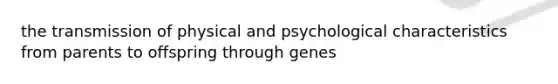 the transmission of physical and psychological characteristics from parents to offspring through genes