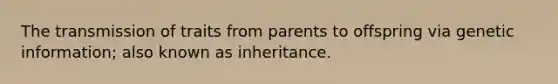 The transmission of traits from parents to offspring via genetic information; also known as inheritance.