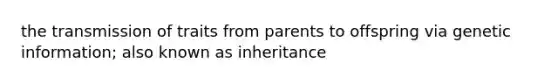 the transmission of traits from parents to offspring via genetic information; also known as inheritance