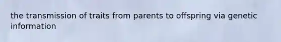 the transmission of traits from parents to offspring via genetic information