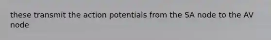 these transmit the action potentials from the SA node to the AV node