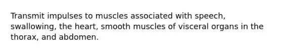 Transmit impulses to muscles associated with speech, swallowing, the heart, smooth muscles of visceral organs in the thorax, and abdomen.