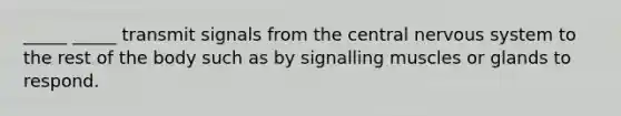 _____ _____ transmit signals from the central nervous system to the rest of the body such as by signalling muscles or glands to respond.