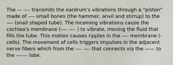 The — —- transmits the eardrum's vibrations through a "piston" made of —- small bones (the hammer, anvil and stirrup) to the —- (snail shaped tube). The incoming vibrations cause the cochlea's membrane (—- —- ) to vibrate, moving the fluid that fills the tube. This motion causes ripples in the —- membrane (- cells). The movement of cells triggers impulses in the adjacent nerve fibers which from the —- —- that connects via the —— to the ——- lobe.