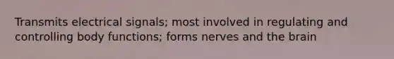 Transmits electrical signals; most involved in regulating and controlling body functions; forms nerves and the brain