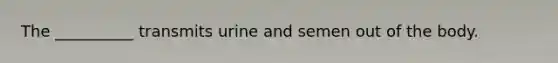 The __________ transmits urine and semen out of the body.