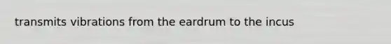 transmits vibrations from the eardrum to the incus