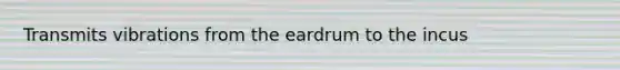 Transmits vibrations from the eardrum to the incus