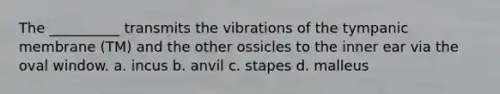 The __________ transmits the vibrations of the tympanic membrane (TM) and the other ossicles to the inner ear via the oval window. a. incus b. anvil c. stapes d. malleus