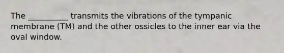 The __________ transmits the vibrations of the tympanic membrane (TM) and the other ossicles to the inner ear via the oval window.