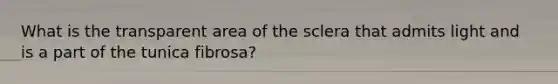 What is the transparent area of the sclera that admits light and is a part of the tunica fibrosa?