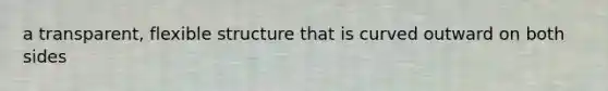 a transparent, flexible structure that is curved outward on both sides