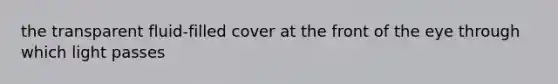 the transparent fluid-filled cover at the front of the eye through which light passes