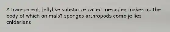 A transparent, jellylike substance called mesoglea makes up the body of which animals? sponges arthropods comb jellies cnidarians