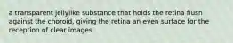 a transparent jellylike substance that holds the retina flush against the choroid, giving the retina an even surface for the reception of clear images