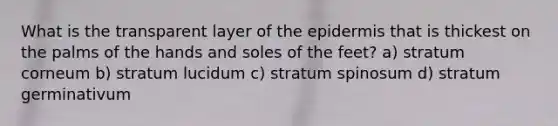 What is the transparent layer of the epidermis that is thickest on the palms of the hands and soles of the feet? a) stratum corneum b) stratum lucidum c) stratum spinosum d) stratum germinativum