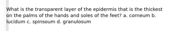 What is the transparent layer of the epidermis that is the thickest on the palms of the hands and soles of the feet? a. corneum b. lucidum c. spinsoum d. granulosum