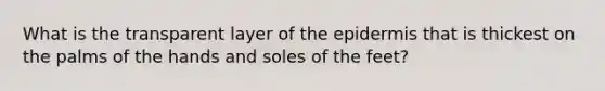 What is the transparent layer of <a href='https://www.questionai.com/knowledge/kBFgQMpq6s-the-epidermis' class='anchor-knowledge'>the epidermis</a> that is thickest on the palms of the hands and soles of the feet?