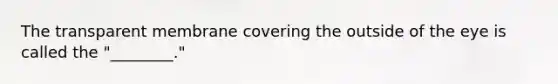 The transparent membrane covering the outside of the eye is called the "________."