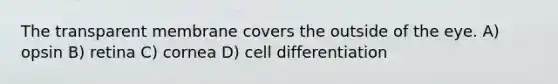 The transparent membrane covers the outside of the eye. A) opsin B) retina C) cornea D) cell differentiation