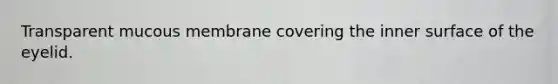 Transparent mucous membrane covering the inner surface of the eyelid.