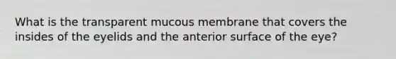 What is the transparent mucous membrane that covers the insides of the eyelids and the anterior surface of the eye?