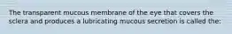 The transparent mucous membrane of the eye that covers the sclera and produces a lubricating mucous secretion is called the: