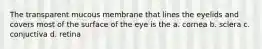 The transparent mucous membrane that lines the eyelids and covers most of the surface of the eye is the a. cornea b. sclera c. conjuctiva d. retina