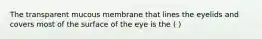 The transparent mucous membrane that lines the eyelids and covers most of the surface of the eye is the ( )